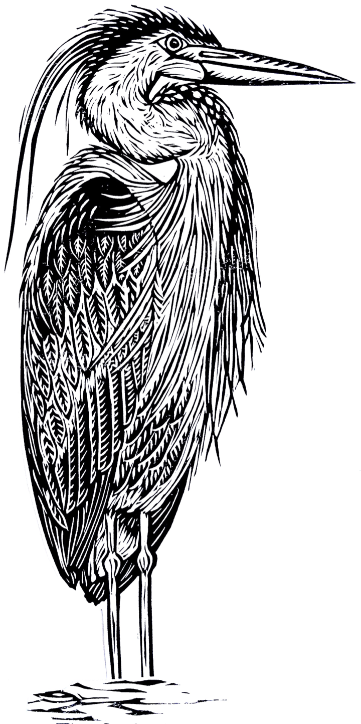 Riverbird Printworks